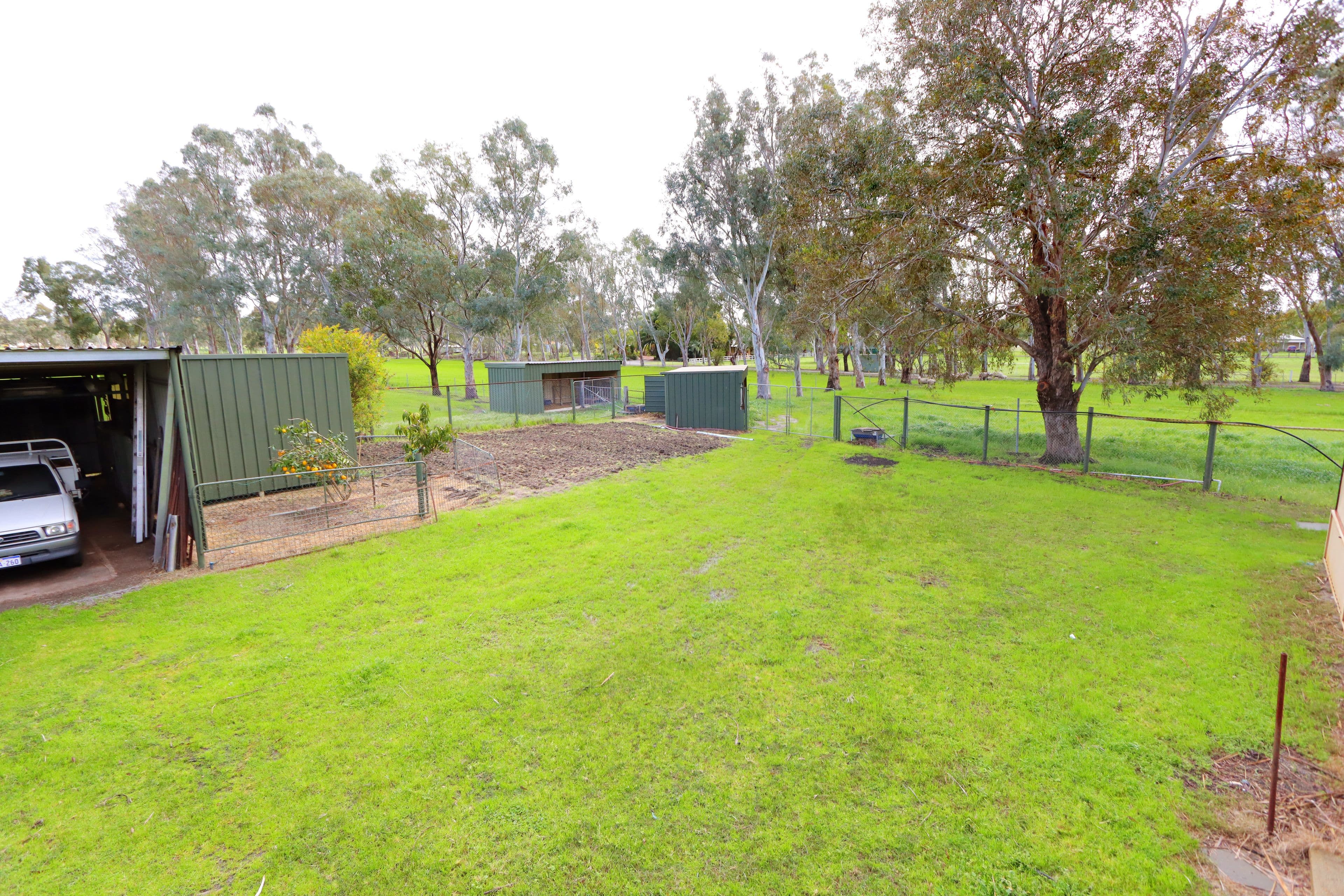 227 Gugeri Road, Herne Hill WA 6056, Herne Hill - Thumbnail 5