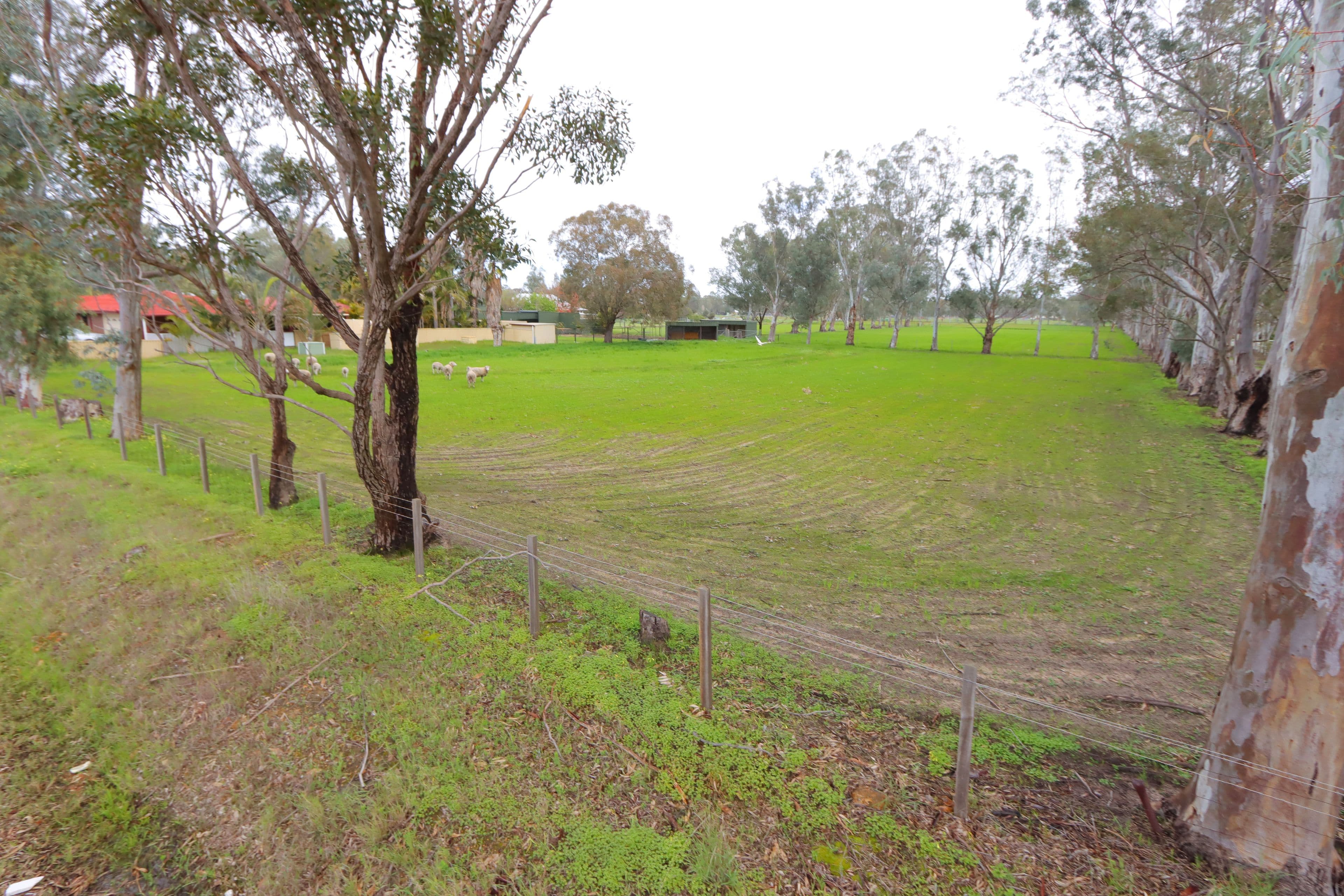 227 Gugeri Road, Herne Hill WA 6056, Herne Hill - Thumbnail 6