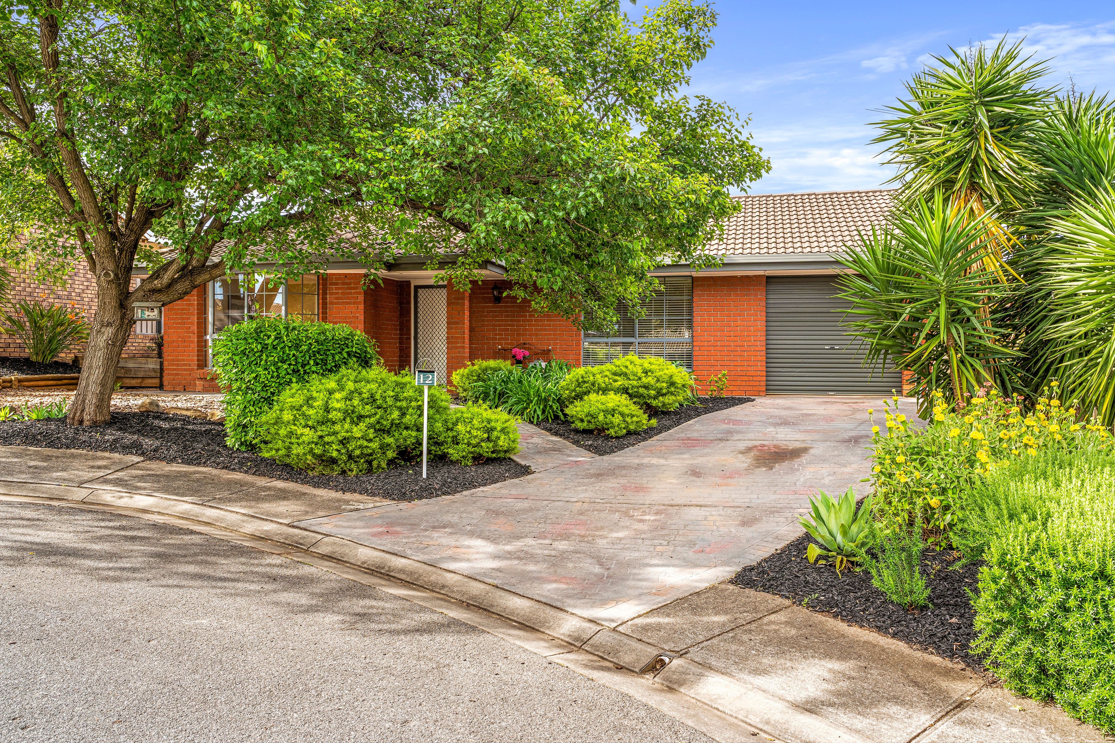 12 Polar Court, Greenwith SA 5125, Greenwith - Thumbnail 2