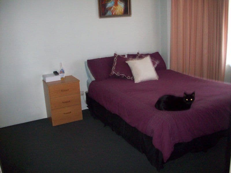 26 Slathiel Street, Brinsmead, QLD, 4870, Brinsmead - Thumbnail 7