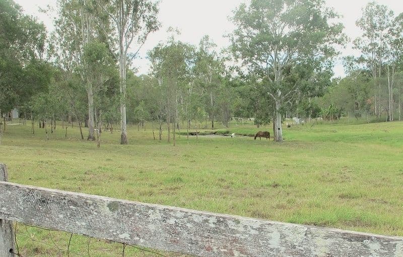 2 Westbourne Drive, WIGHTS MOUNTAIN QLD 4520, Wights Mountain - Image 1
