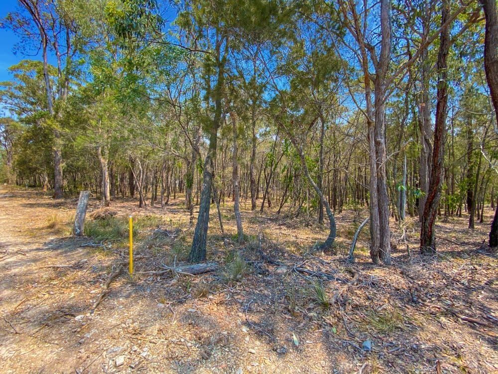 227 Avalon Road, Sheldon QLD 4157, Sheldon - Thumbnail 2