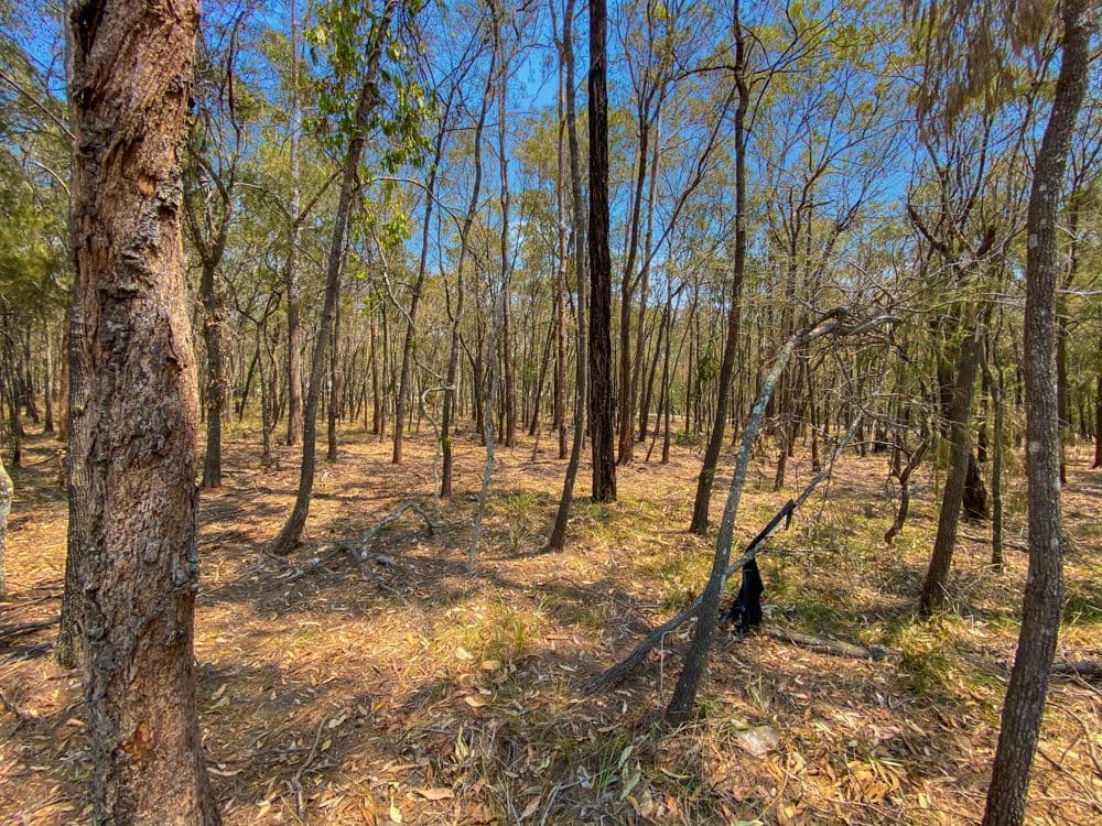 227 Avalon Road, Sheldon QLD 4157, Sheldon - Thumbnail 4