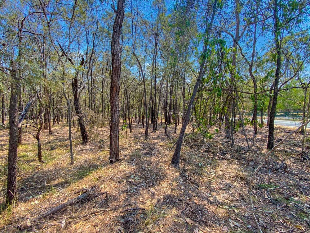 227 Avalon Road, Sheldon QLD 4157, Sheldon - Thumbnail 5