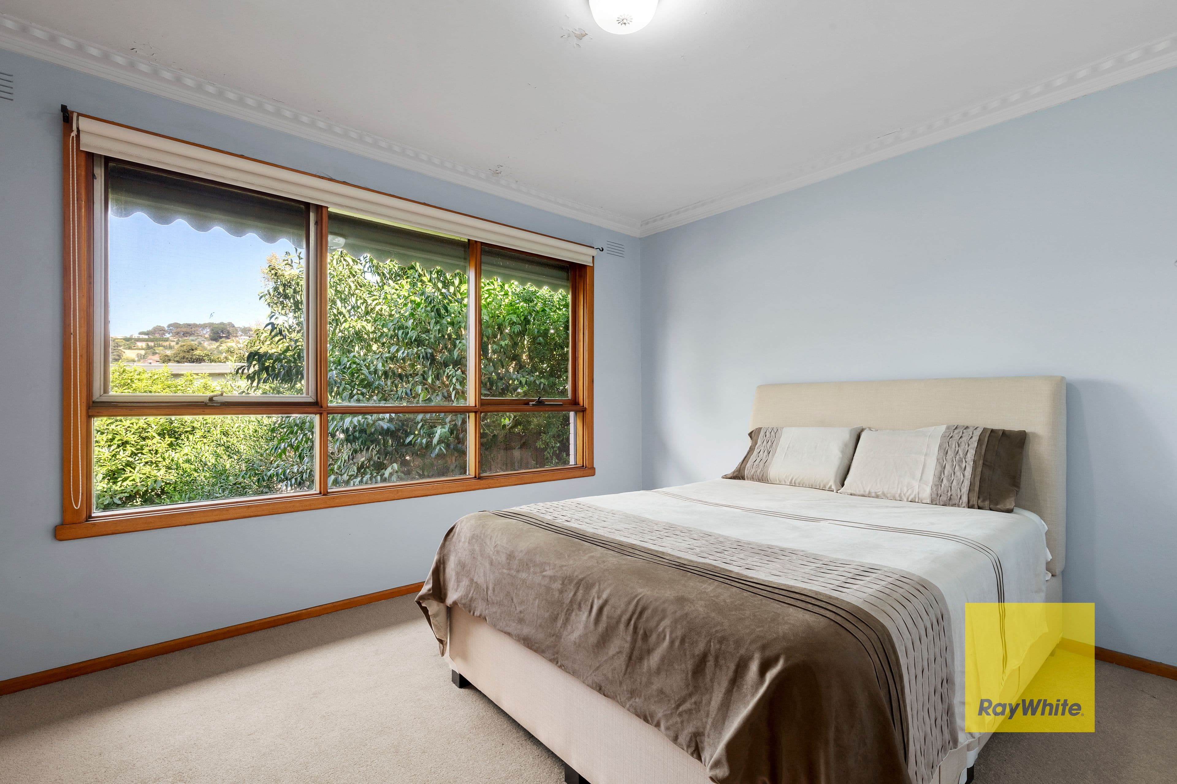 26 Ballater Avenue, Newtown VIC 3220, Newtown - Thumbnail 7
