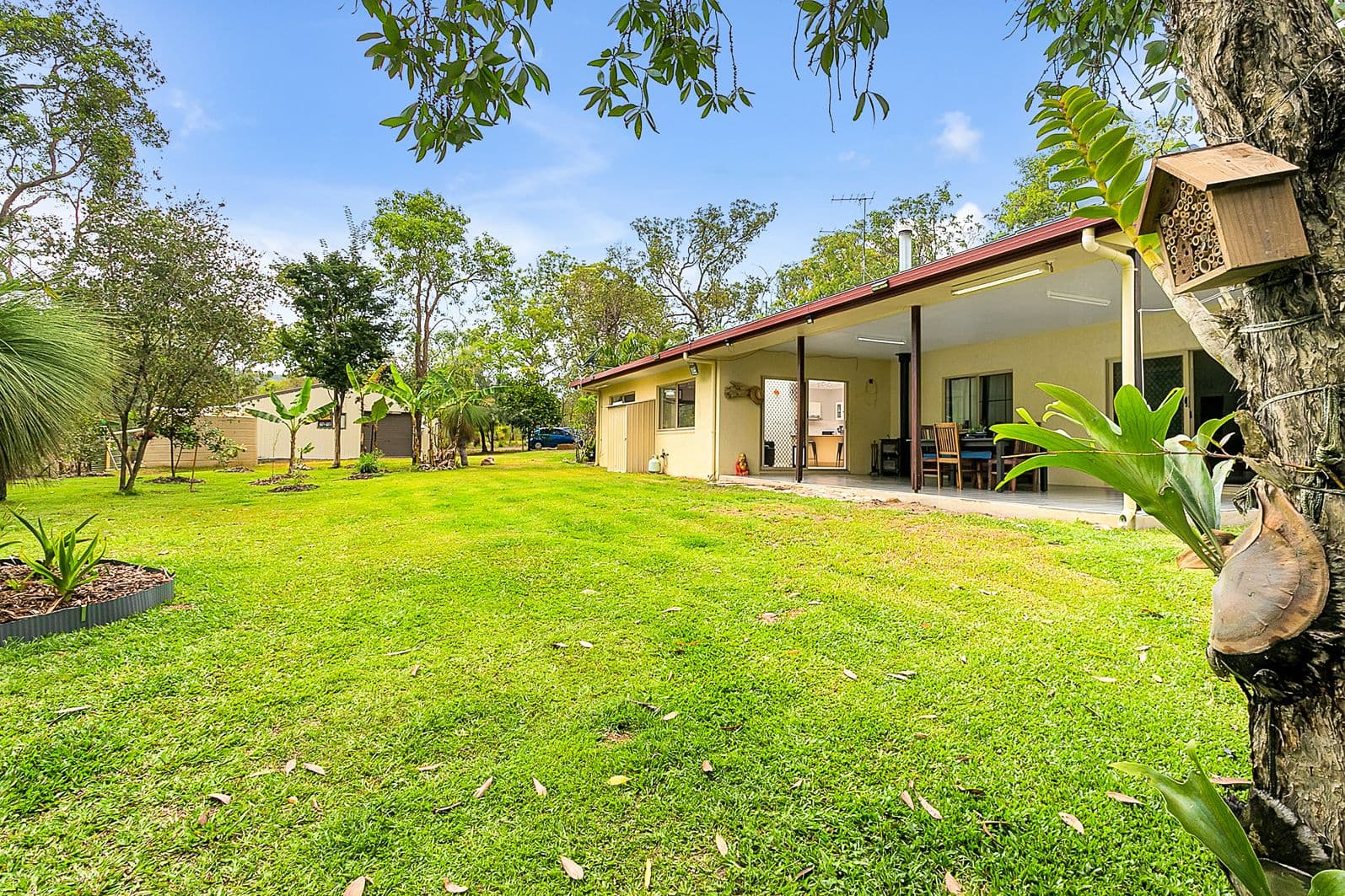 17 Palm Valley Road, Koah QLD 4881, Koah - Thumbnail 4