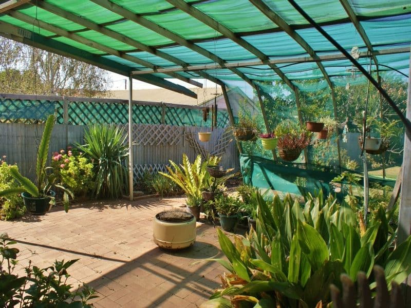 7 Neumann Avenue, MURRAY BRIDGE SA 5253, Murray Bridge - Thumbnail 5