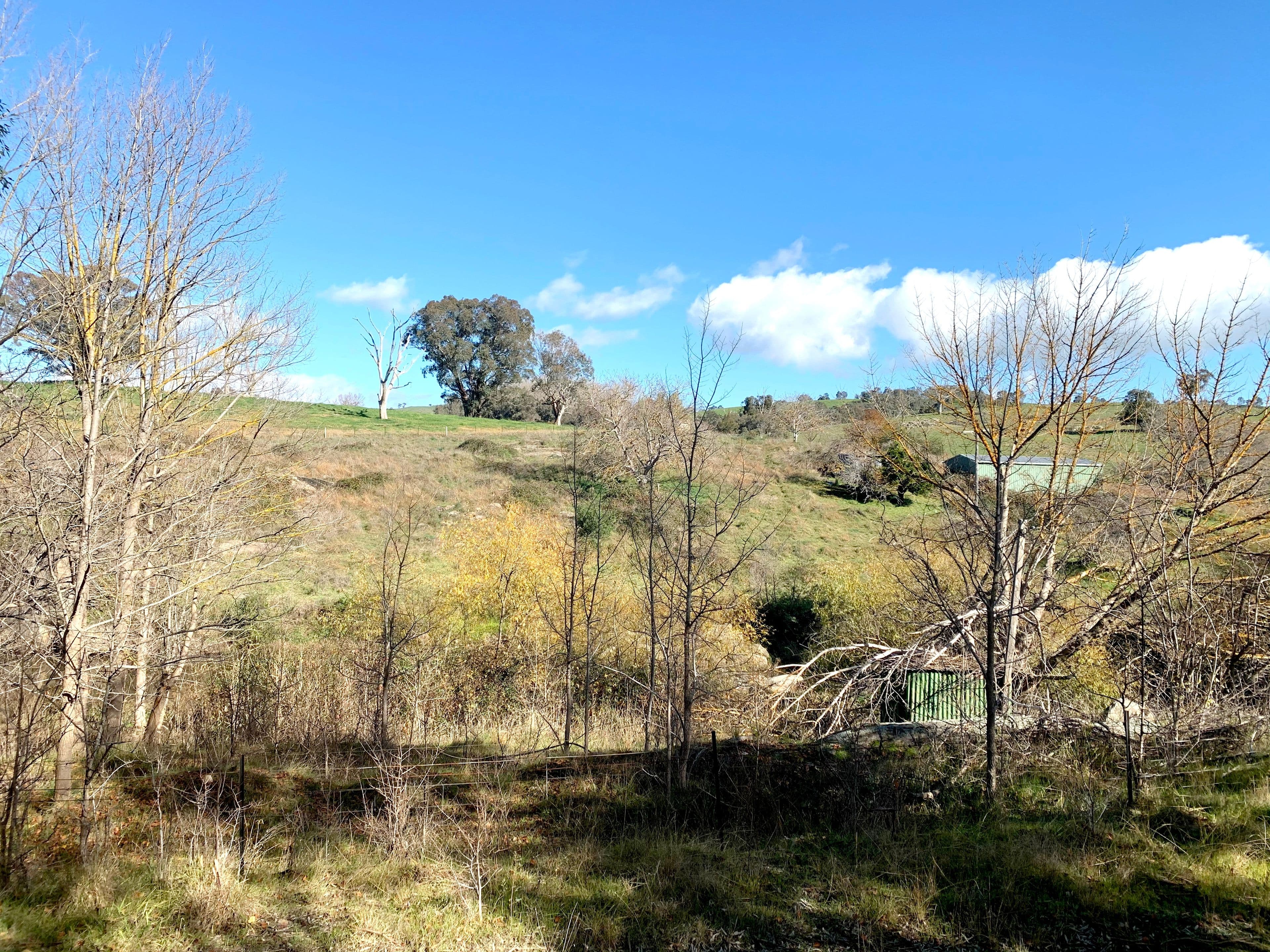 330 Wondalga Road, Adelong NSW 2729, Adelong - Image 1