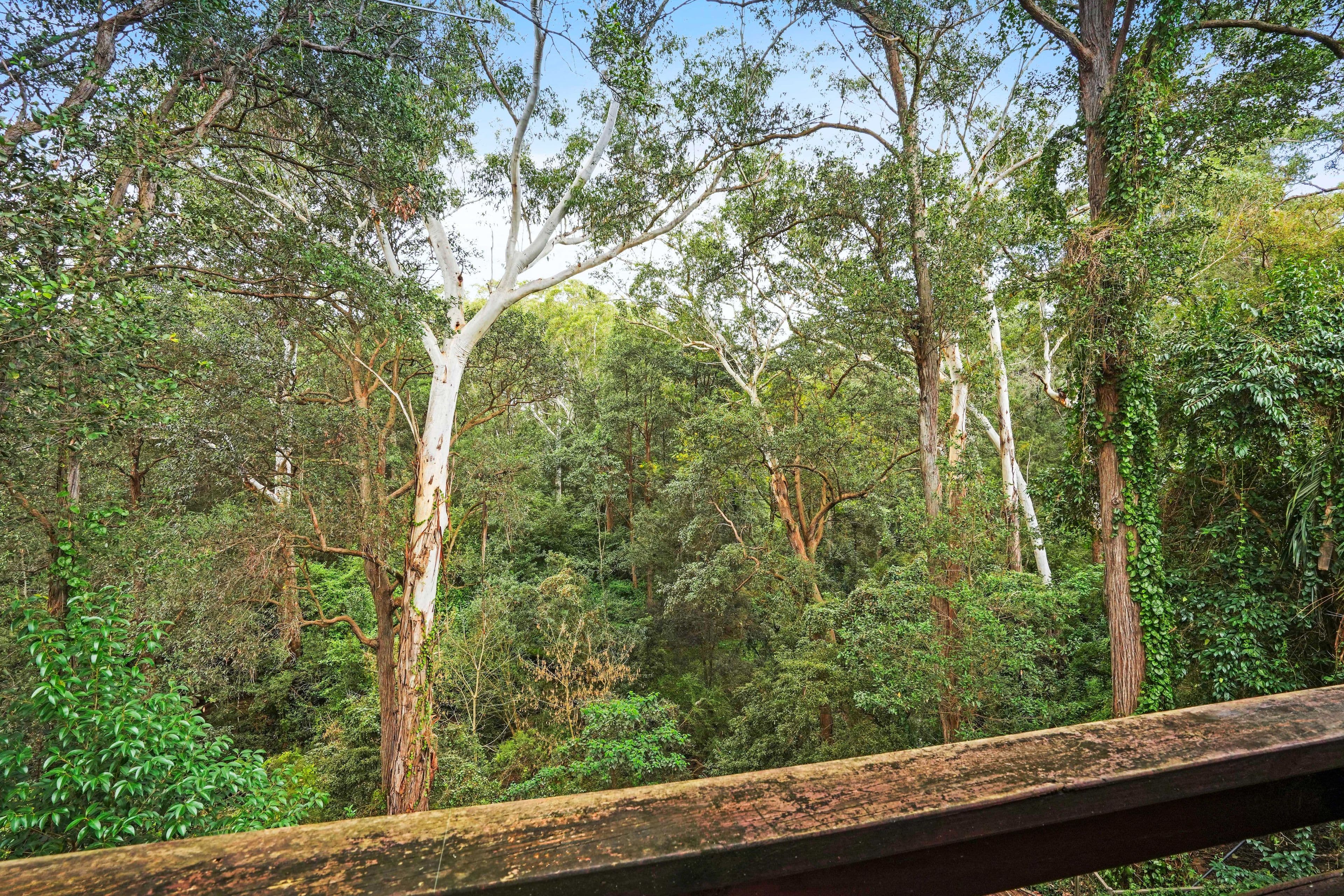 40 Burrandong Crescent, Baulkham Hills NSW 2153, Baulkham Hills - Thumbnail 4