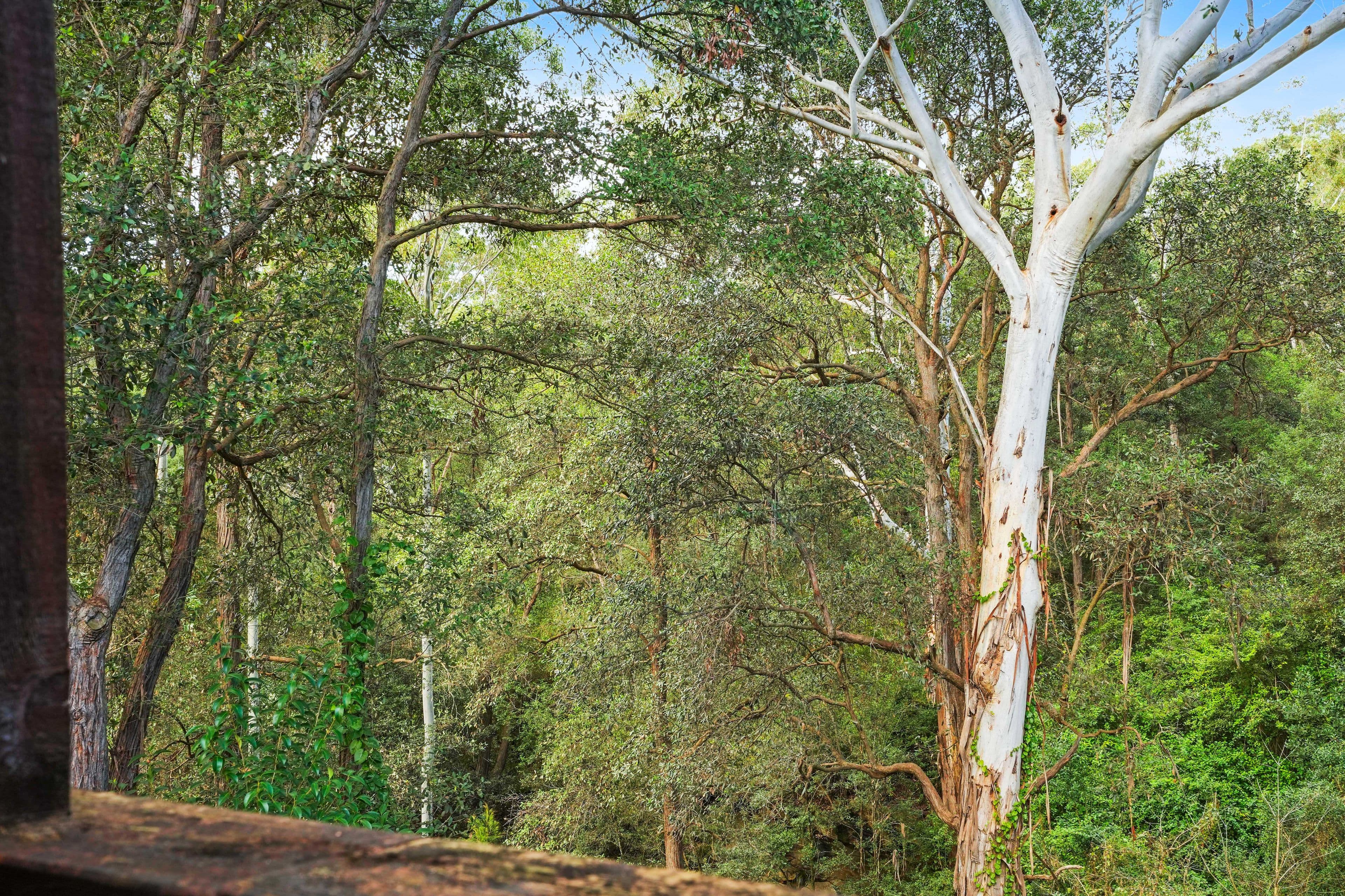 40 Burrandong Crescent, Baulkham Hills NSW 2153, Baulkham Hills - Thumbnail 6