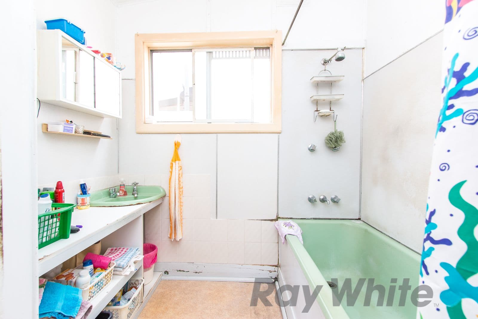 16 Mcmichael Street, Maryville - Thumbnail 6