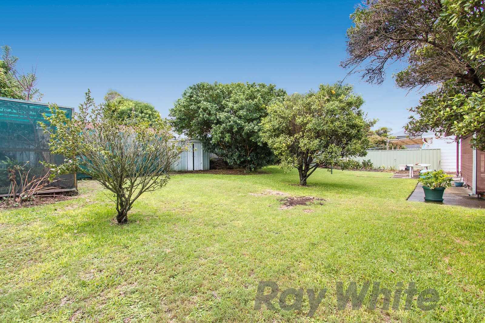 16 Mcmichael Street, Maryville - Thumbnail 7