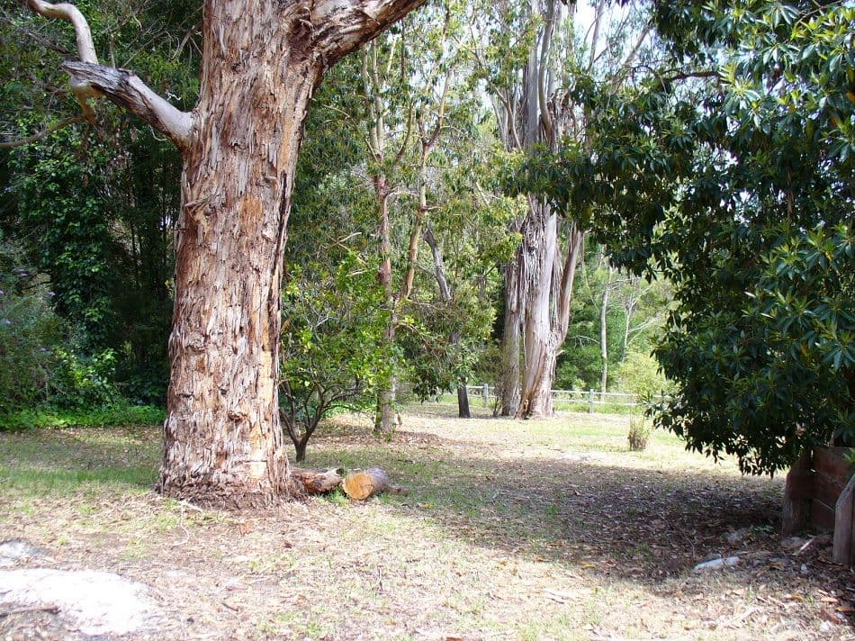 3 Staff Street, QUINNINUP WA 6258, Quinninup - Thumbnail 4