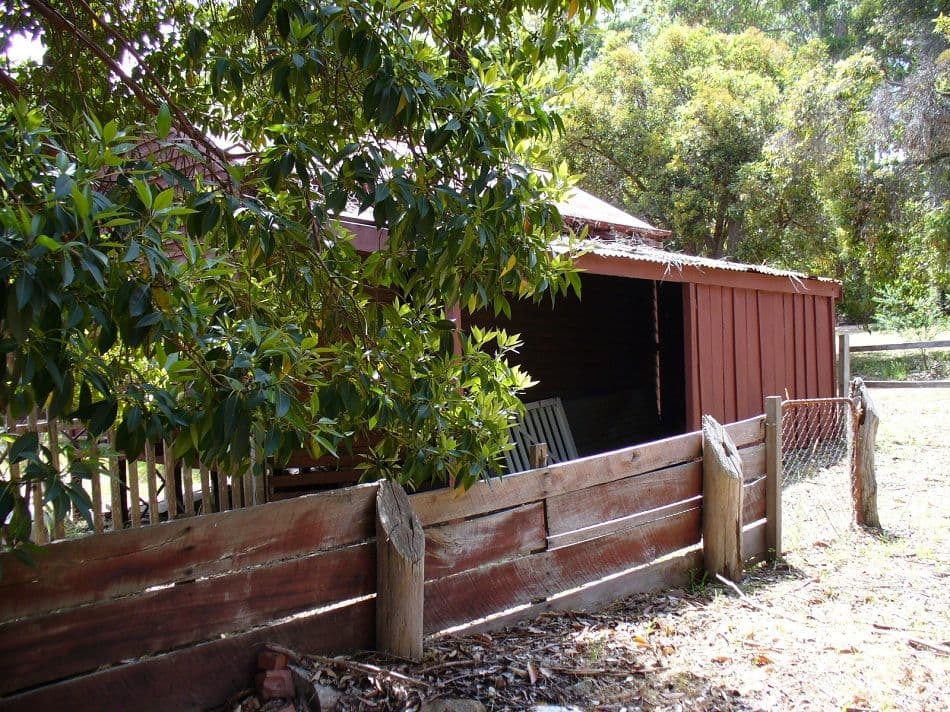 3 Staff Street, QUINNINUP WA 6258, Quinninup - Thumbnail 5