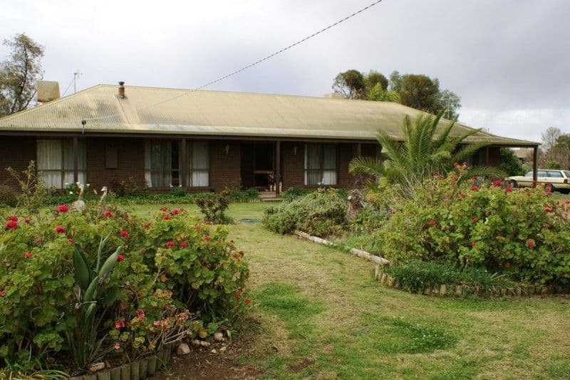 971 Irymple Avenue, IRYMPLE VIC 3498, Irymple - Image 1