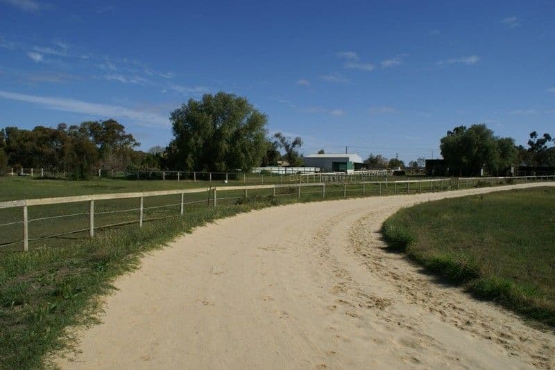 971 Irymple Avenue, IRYMPLE VIC 3498, Irymple - Thumbnail 2