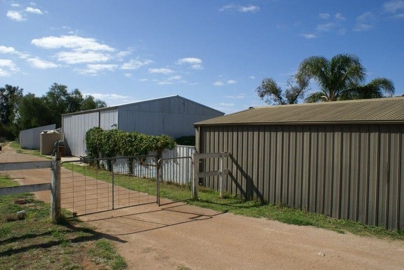 971 Irymple Avenue, IRYMPLE VIC 3498, Irymple - Thumbnail 5