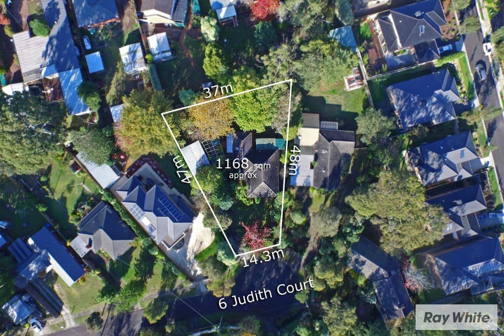 6 Judith Court, Croydon VIC 3136, Croydon - Thumbnail 3