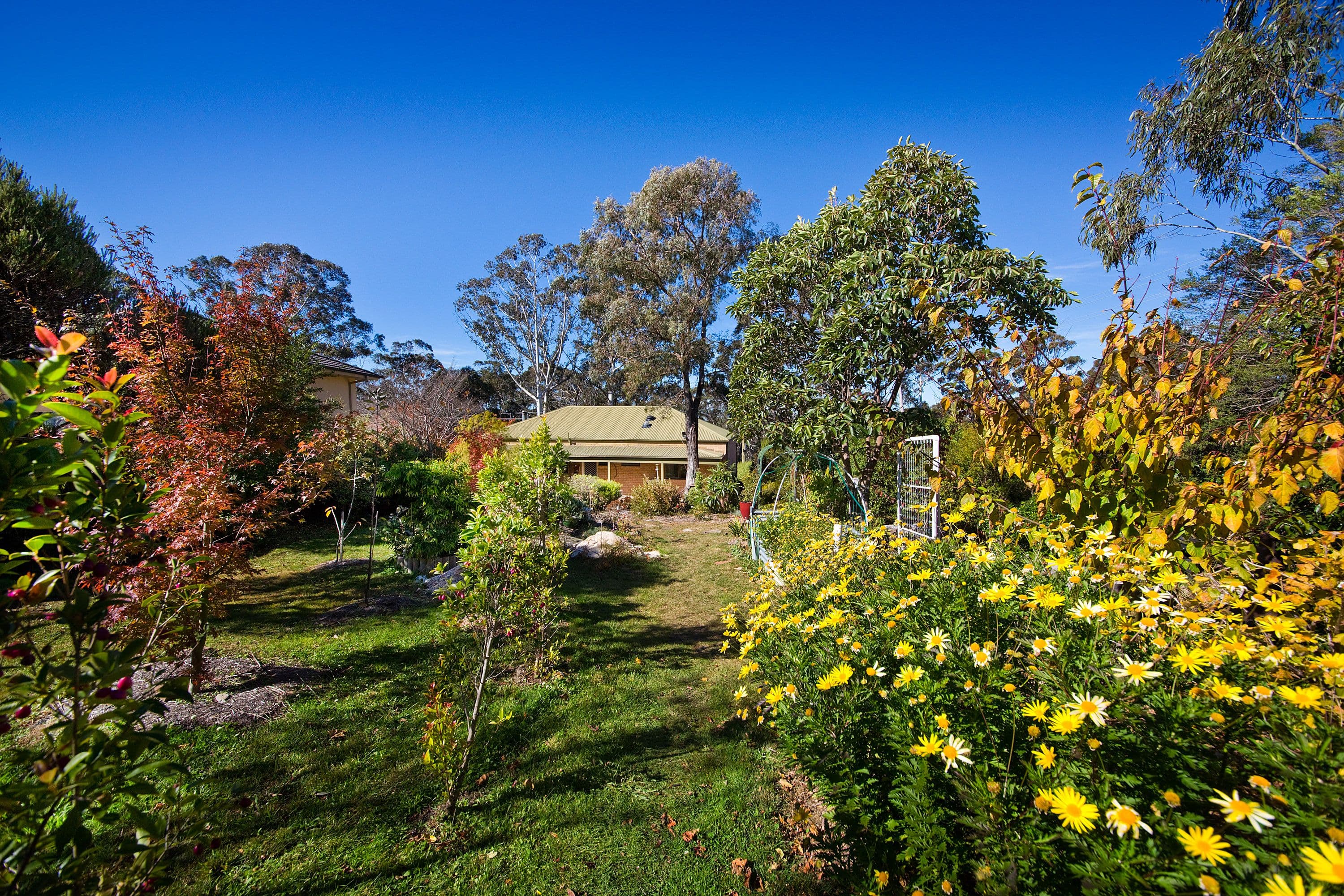 34 Valley Road, Katoomba - Thumbnail 7