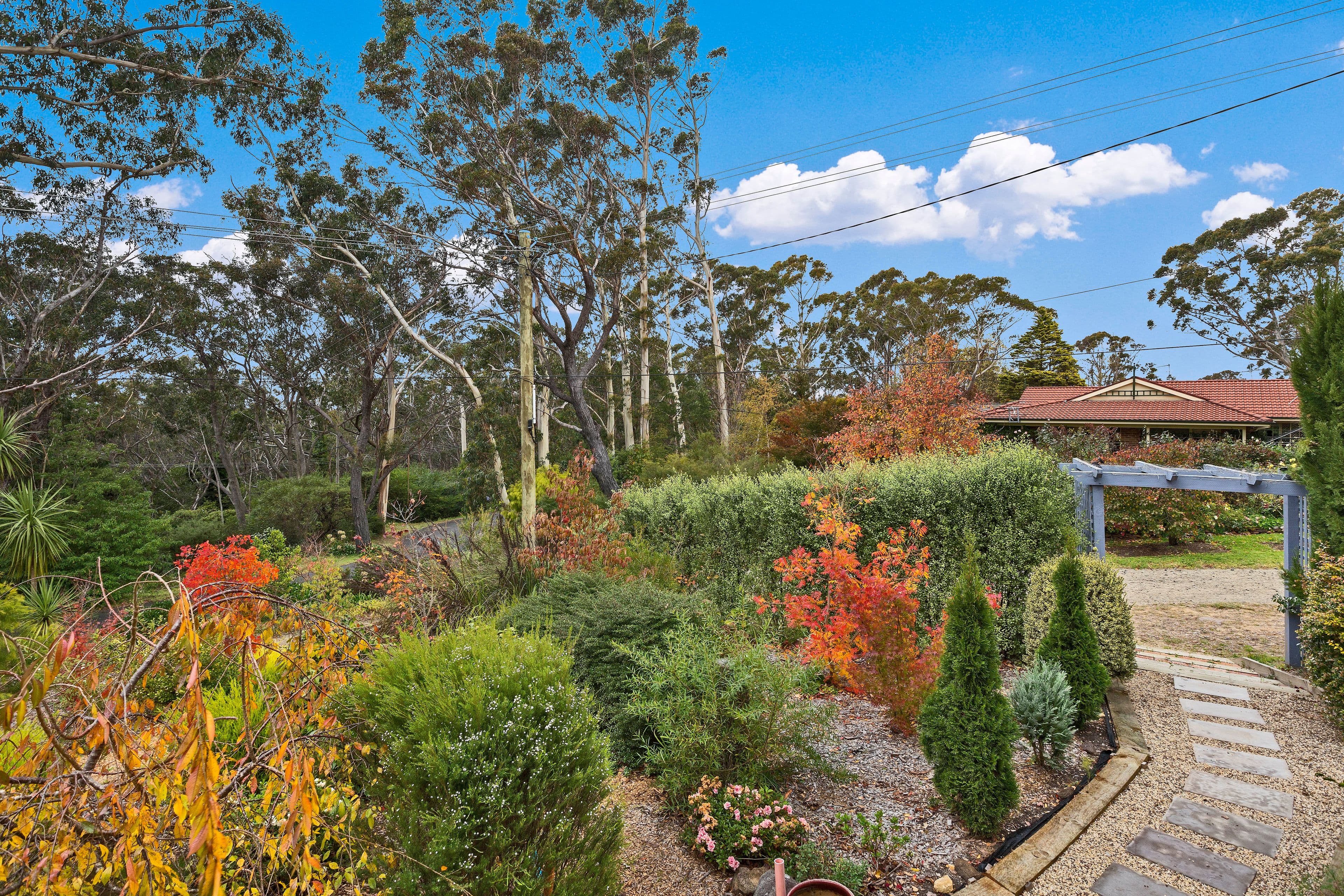 34 Valley Road, Katoomba - Thumbnail 8