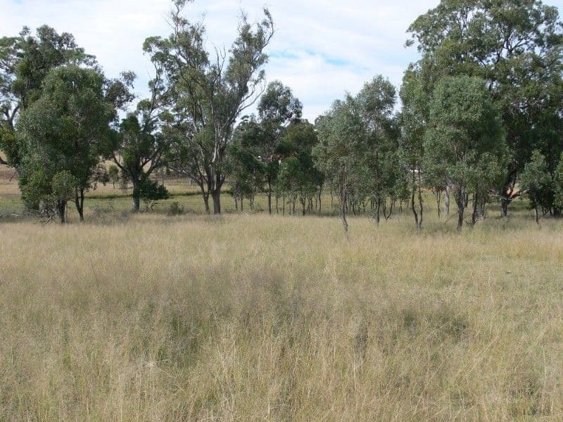 WARWICK QLD 4370, Warwick - Image 1