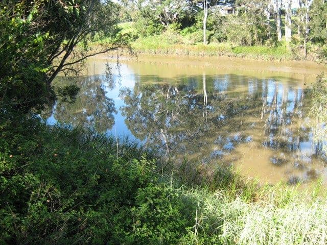 43  Louise Street, WATERFORD WEST QLD 4133, Waterford West - Thumbnail 7