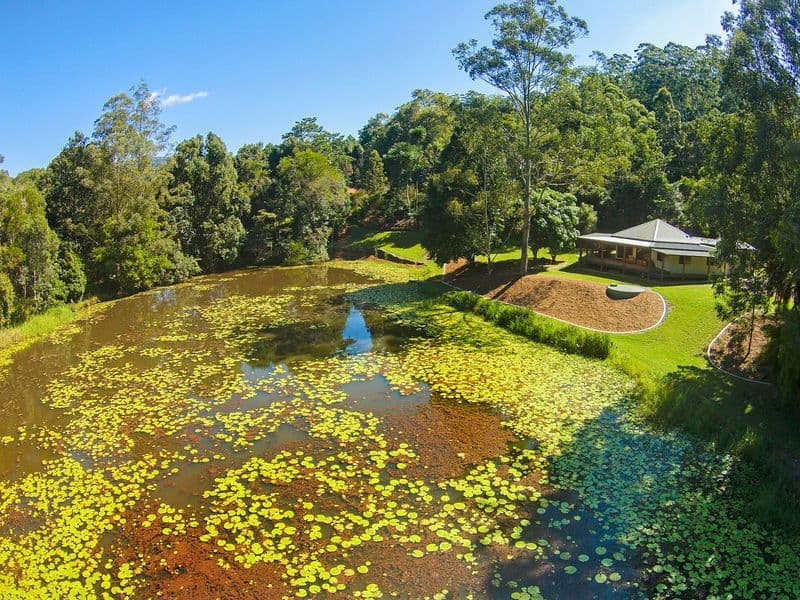 92 Braeside Drive, Uki NSW 2484, Uki - Image 1