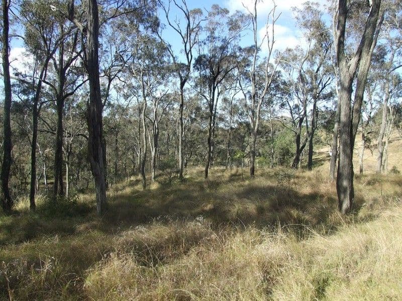 000 Anduramba Range Road, ANDURAMBA QLD 4355, Anduramba - Thumbnail 3