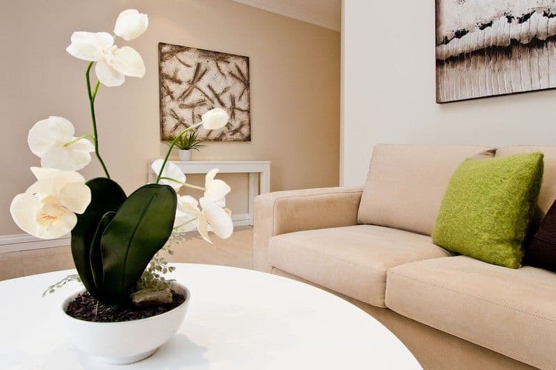 40A Windsor Avenue, CLEARVIEW SA 5085, Clearview - Thumbnail 4