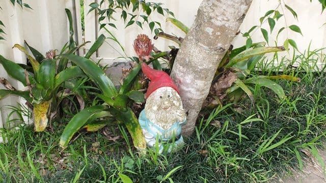 5 Kestrel Avenue, Sanctuary Point - Thumbnail 6