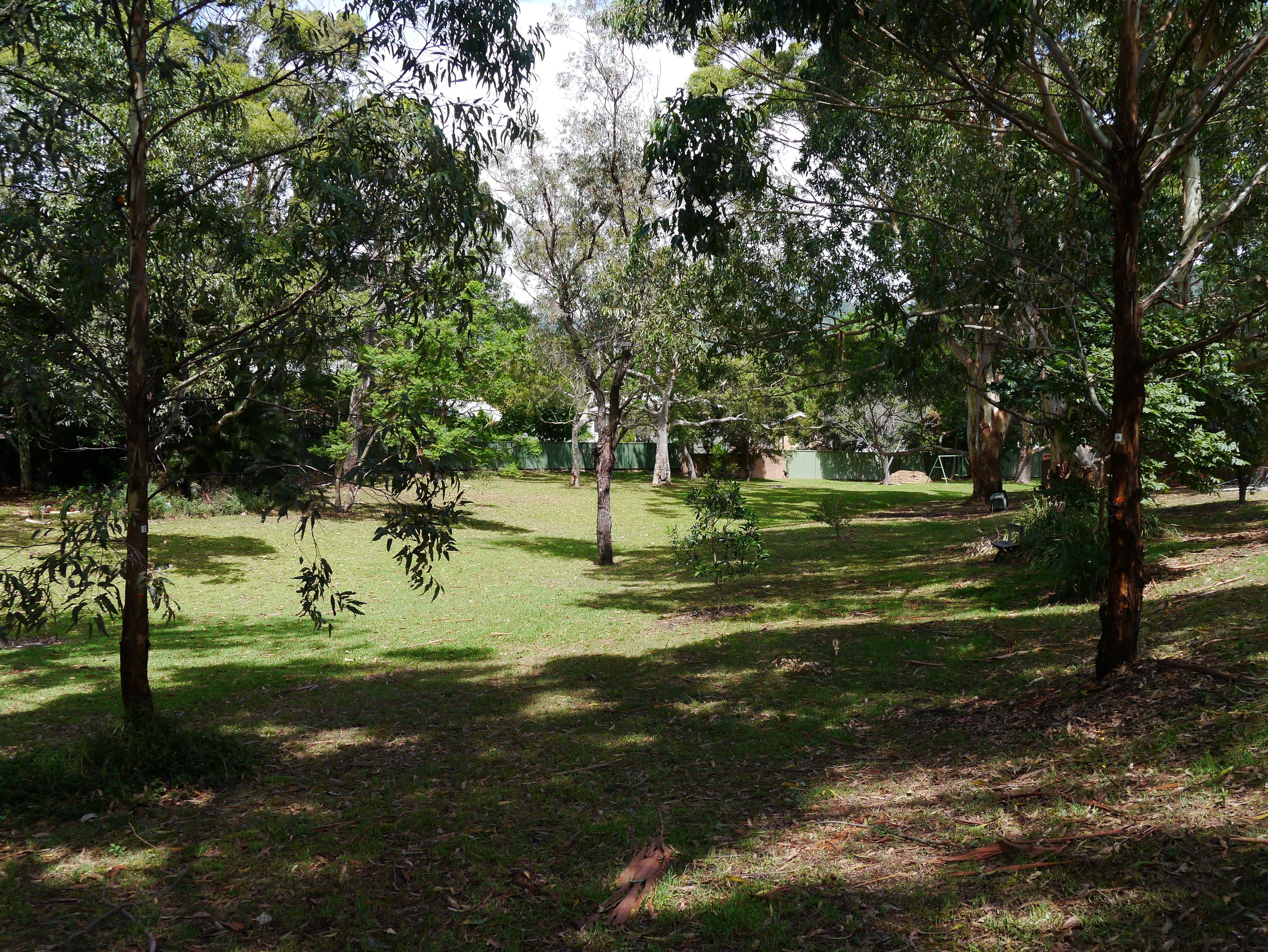 12 Waterloo Street, Bulli - Thumbnail 8