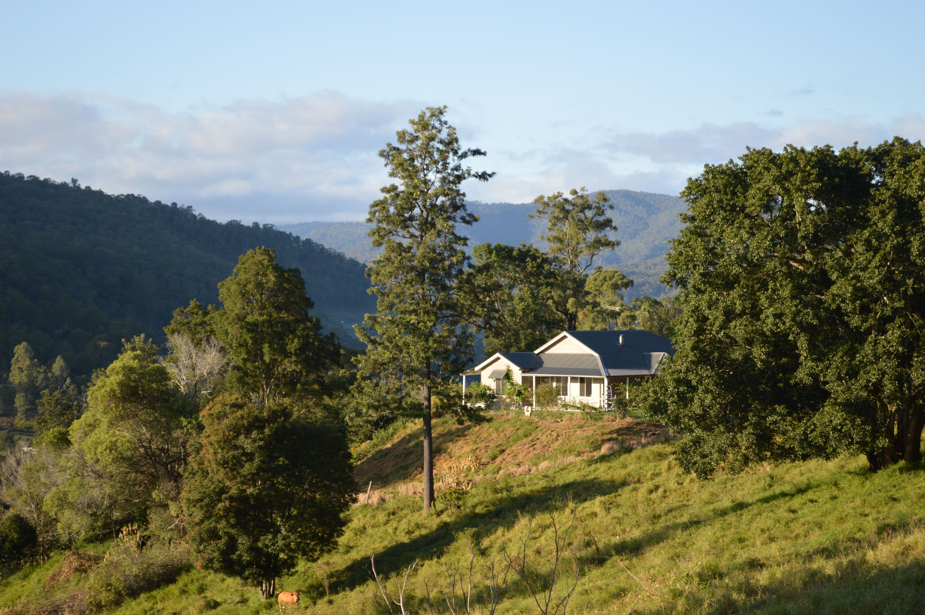 Lot 52 Curtis Road, Canungra QLD 4275, Canungra - Thumbnail 2