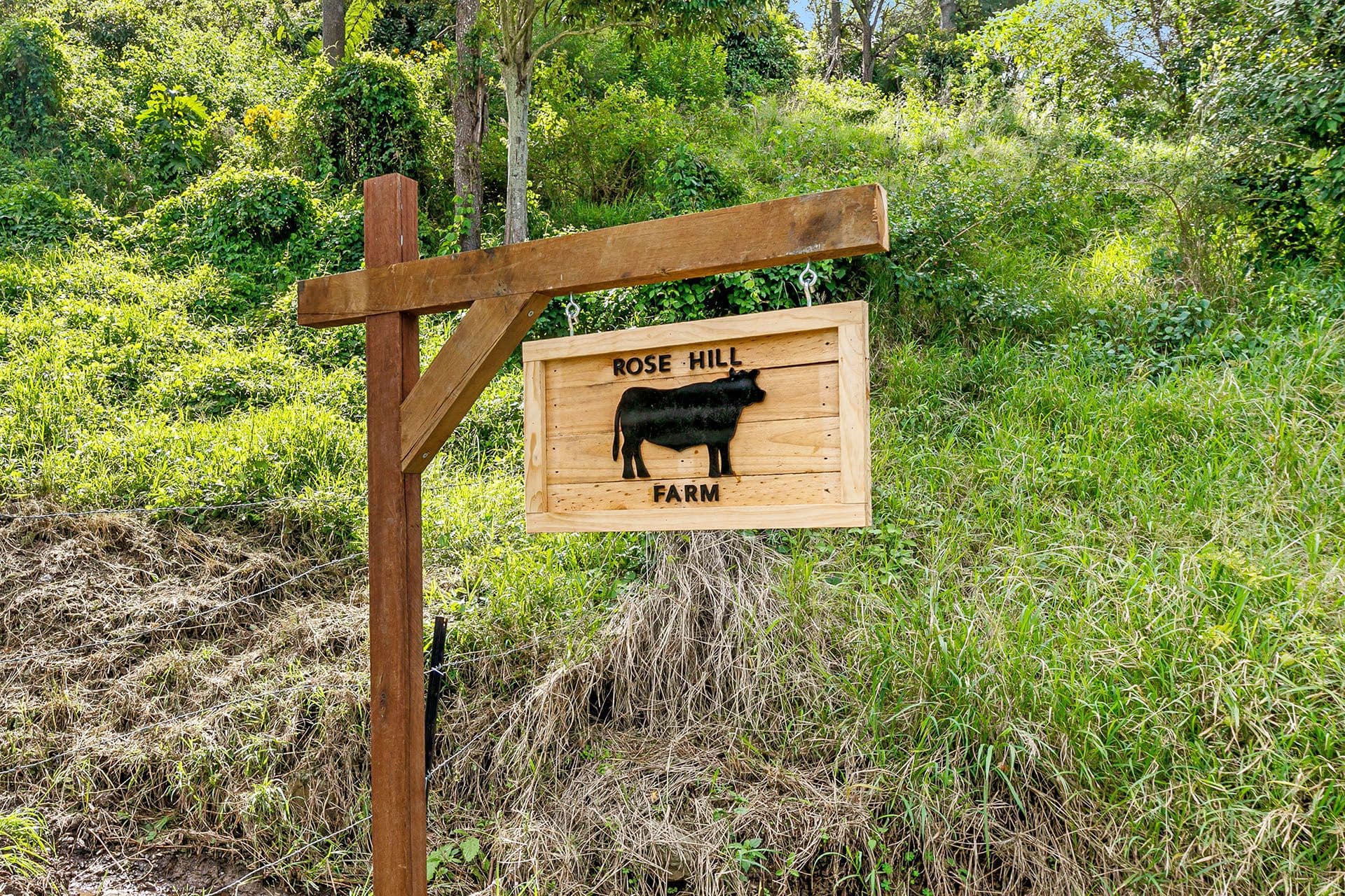 Lot 52 Curtis Road, Canungra QLD 4275, Canungra - Thumbnail 3