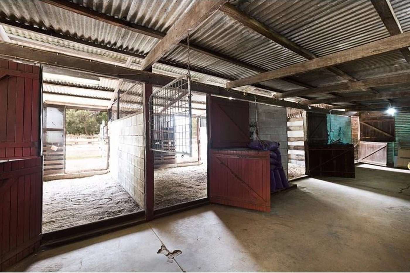 54 Staniland Street, Orange Grove WA 6109, Orange Grove - Thumbnail 2