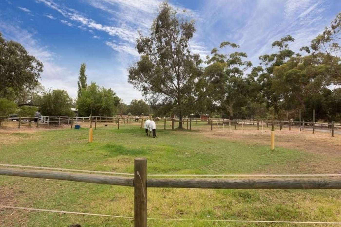 54 Staniland Street, Orange Grove WA 6109, Orange Grove - Thumbnail 3