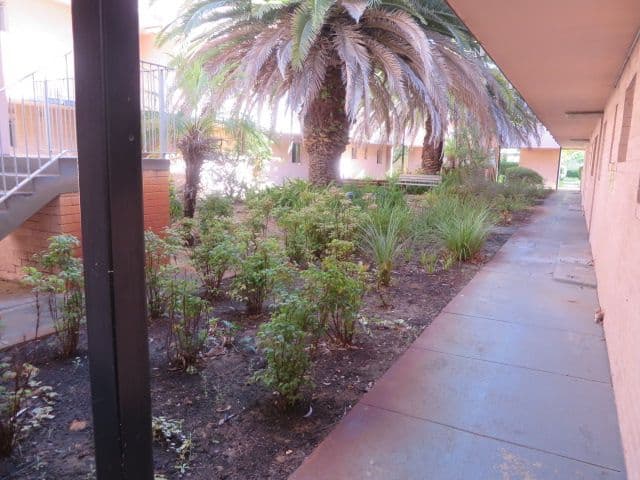 4 Canham Way, Orelia WA 6167, Orelia - Thumbnail 3