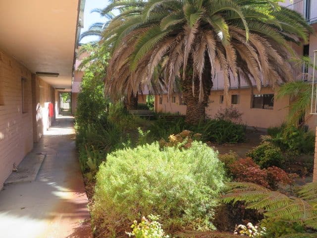 4 Canham Way, Orelia WA 6167, Orelia - Thumbnail 4