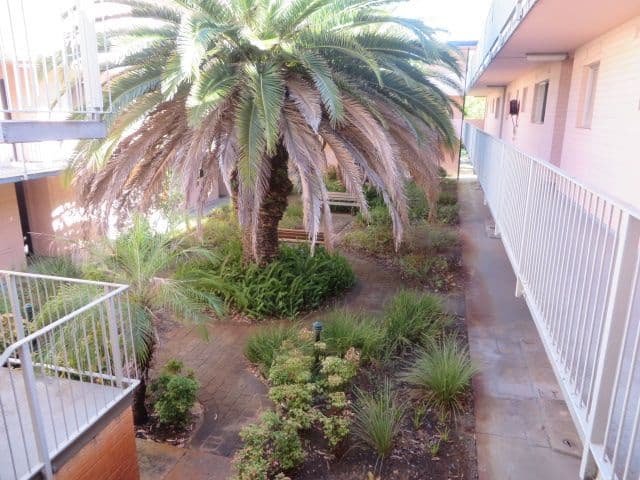 4 Canham Way, Orelia WA 6167, Orelia - Thumbnail 5