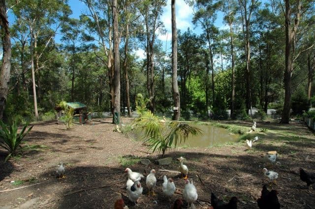 73  Empire Bay Drive, BENSVILLE NSW 2251, Bensville - Thumbnail 5