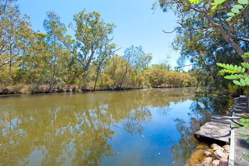 46 Turner Close, BLUE HAVEN NSW 2262, Blue Haven - Thumbnail 5