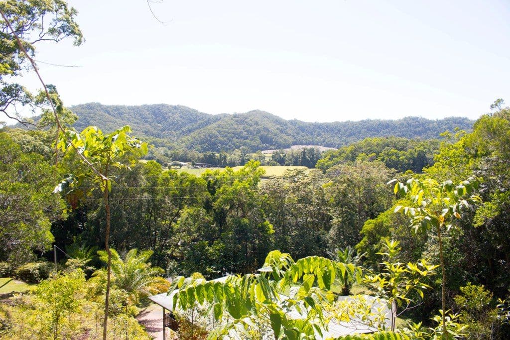 45 Whiteley Road, Miallo QLD 4873, Miallo - Thumbnail 8