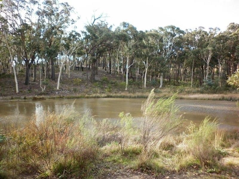 240 Tiyces Lane, GOULBURN NSW 2580, Goulburn - Image 1