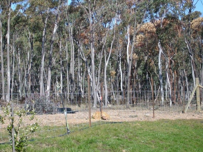 240 Tiyces Lane, GOULBURN NSW 2580, Goulburn - Thumbnail 3