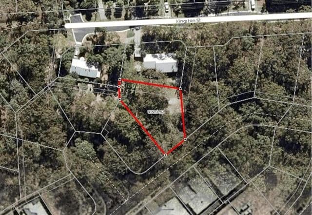 36 Scribbly Gum Circuit, PEREGIAN SPRINGS QLD 4573, Peregian Springs - Thumbnail 6
