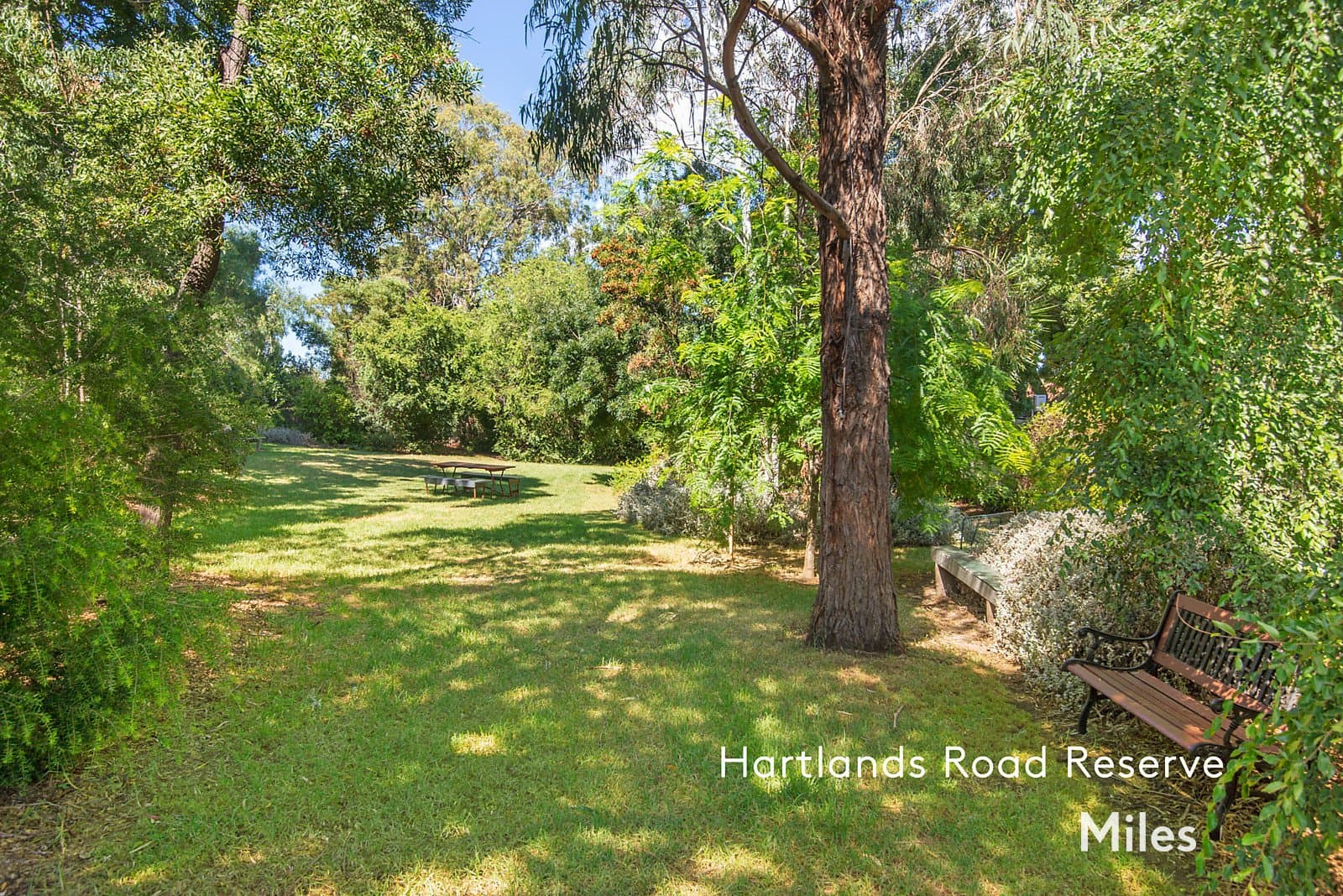 15 Withers Street, Ivanhoe East, Ivanhoe East - Thumbnail 4