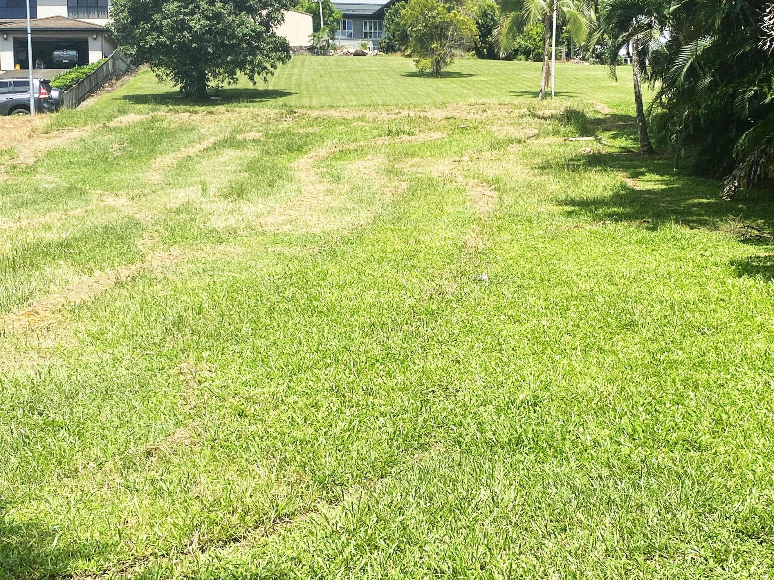6 Dunkalli Crescent, Wongaling Beach QLD 4852, Wongaling Beach - Thumbnail 6