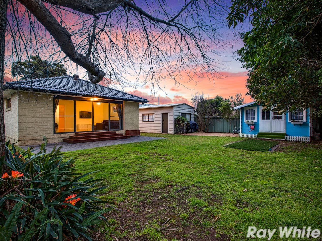 16 Goodacre Avenue, Winston Hills - Thumbnail 6