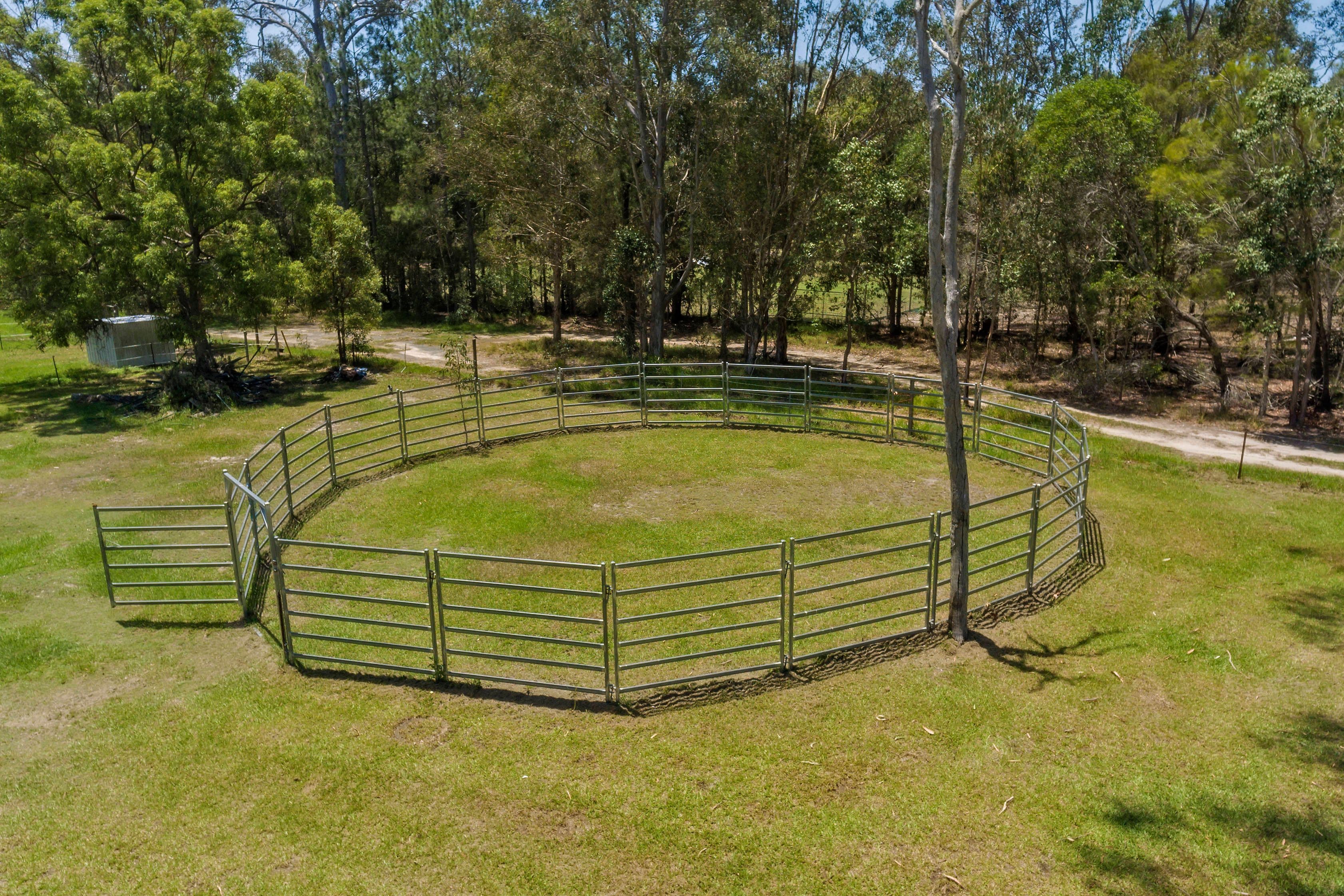 51 Moore Road, Burpengary QLD 4505, Burpengary East - Thumbnail 8