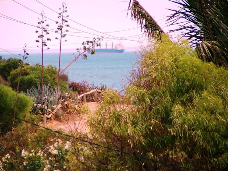 18 Seacrest Drive, DRUMMOND COVE WA 6532, Drummond Cove - Thumbnail 3