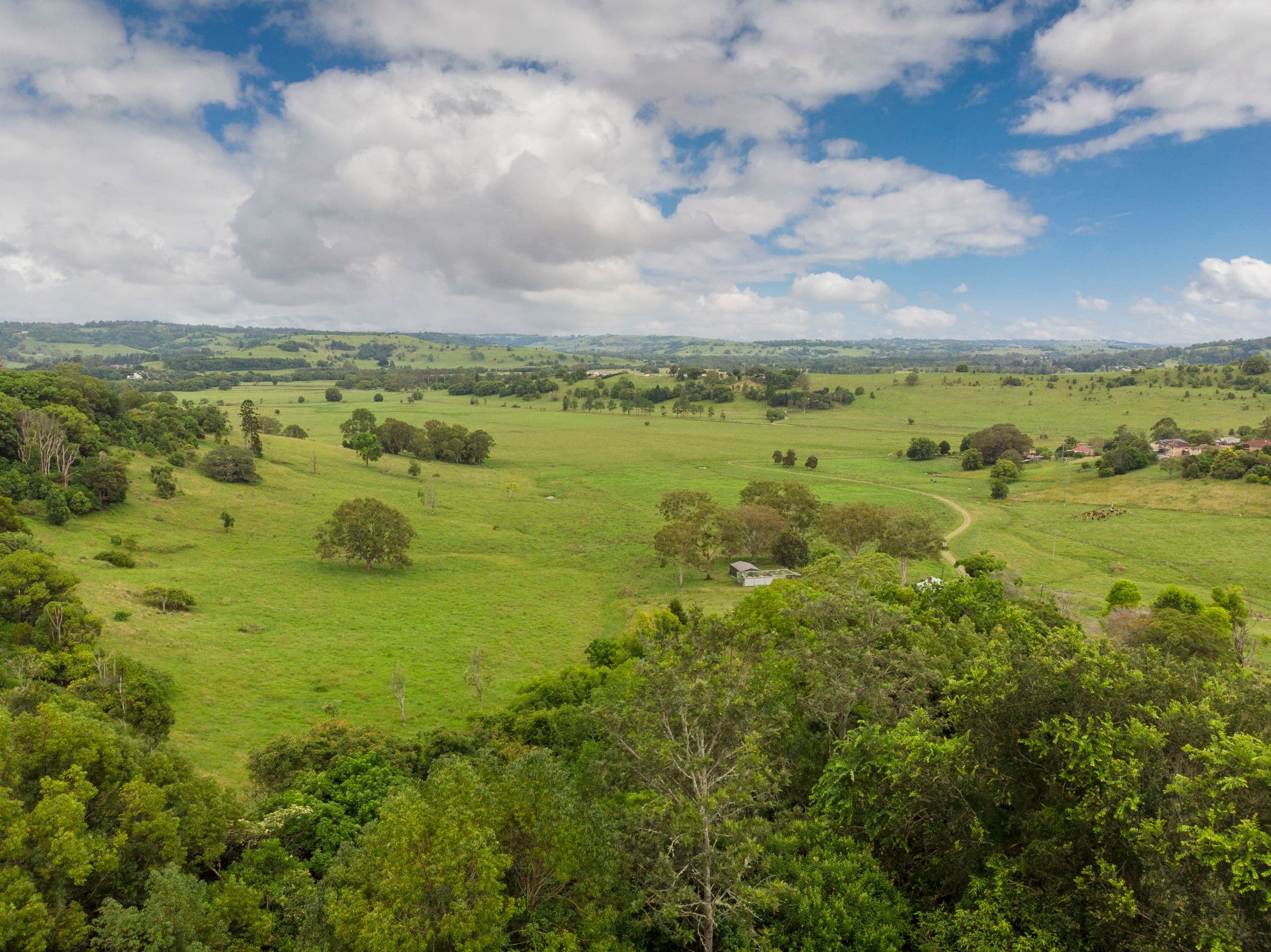 11 Warrick Place, Lismore Heights NSW 2480, Lismore Heights - Thumbnail 5
